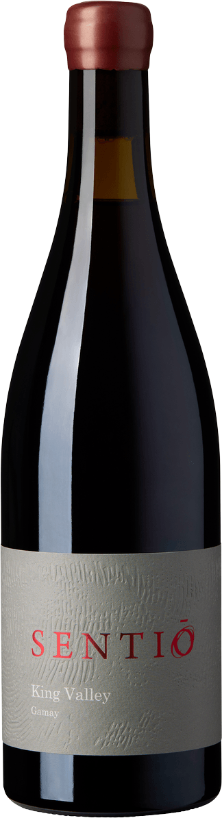 Gamay 2025 — King Valley